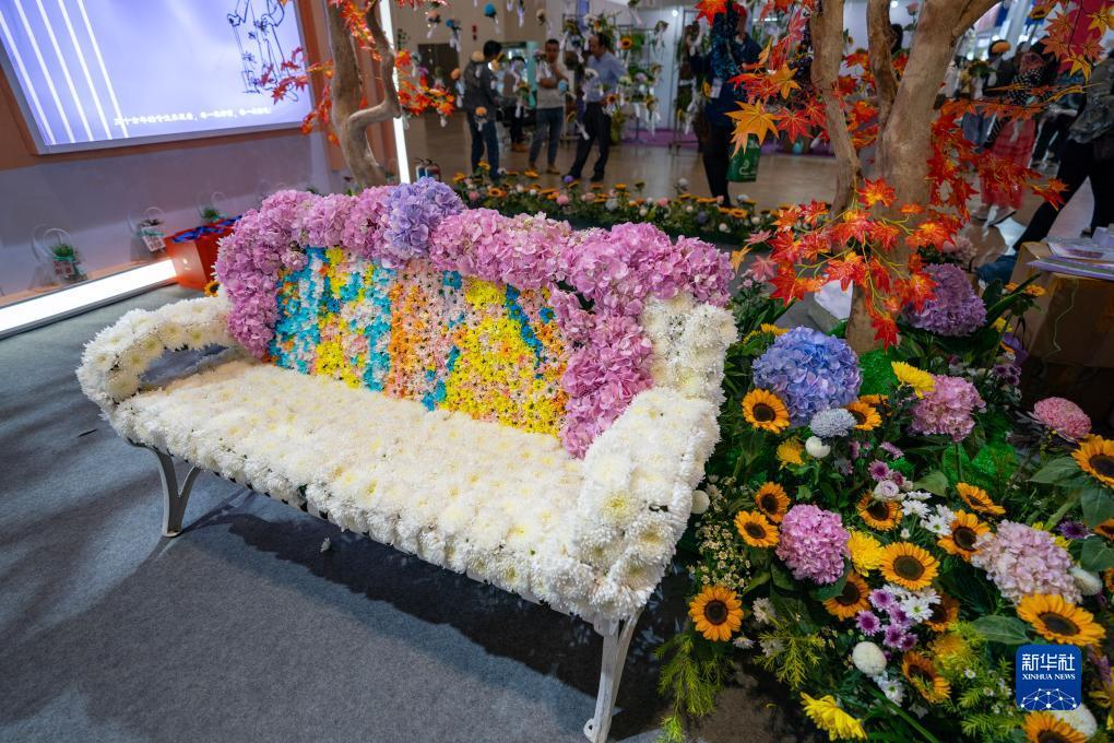 白菜大全自动送彩金不限ip